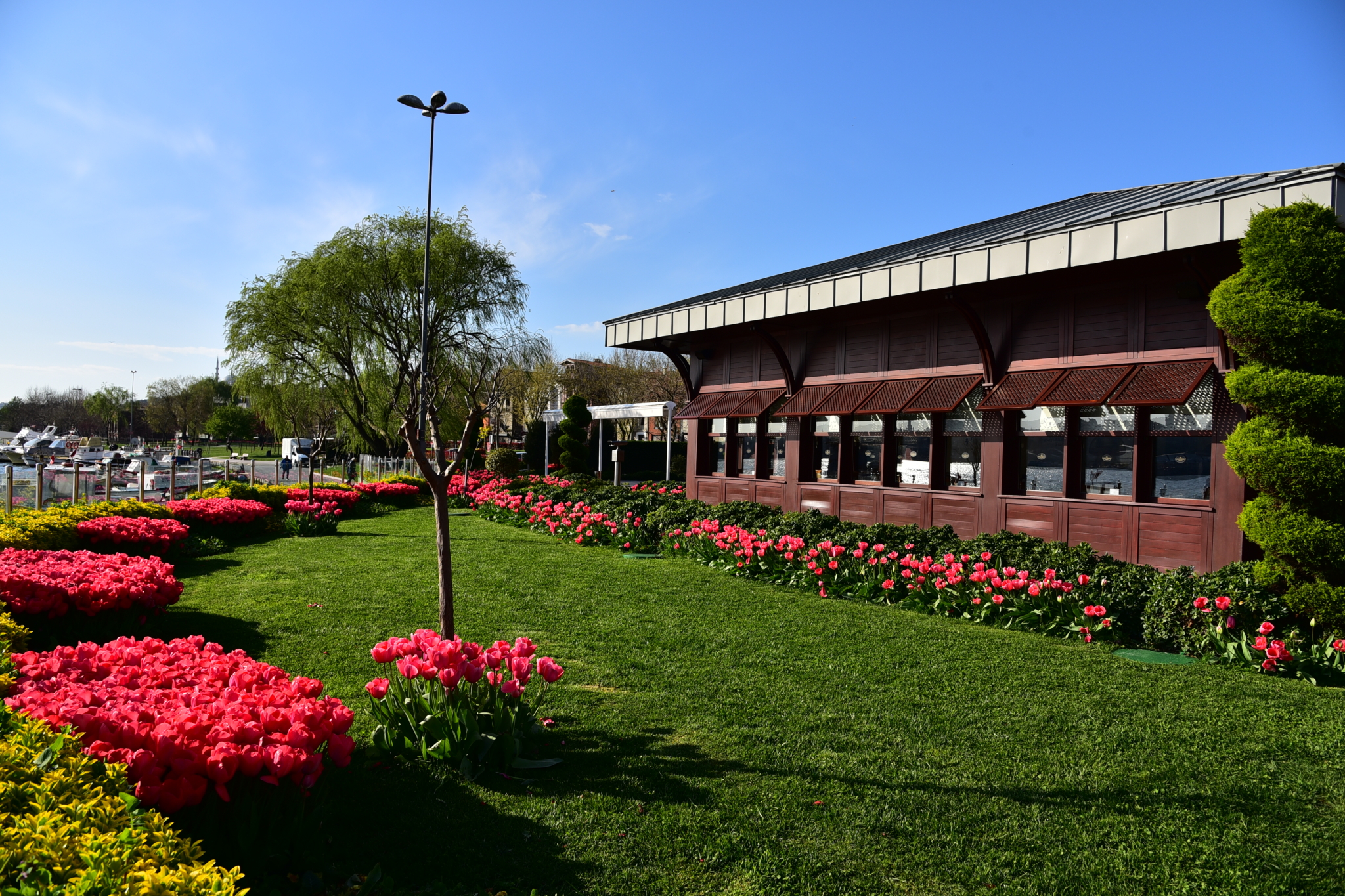 Ibb photo. Florya Sosyal Tesisleri Стамбул птичьего полета. IBB Red Country. Tesis. Есть ли такой цветок Florya.